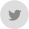twitter icon